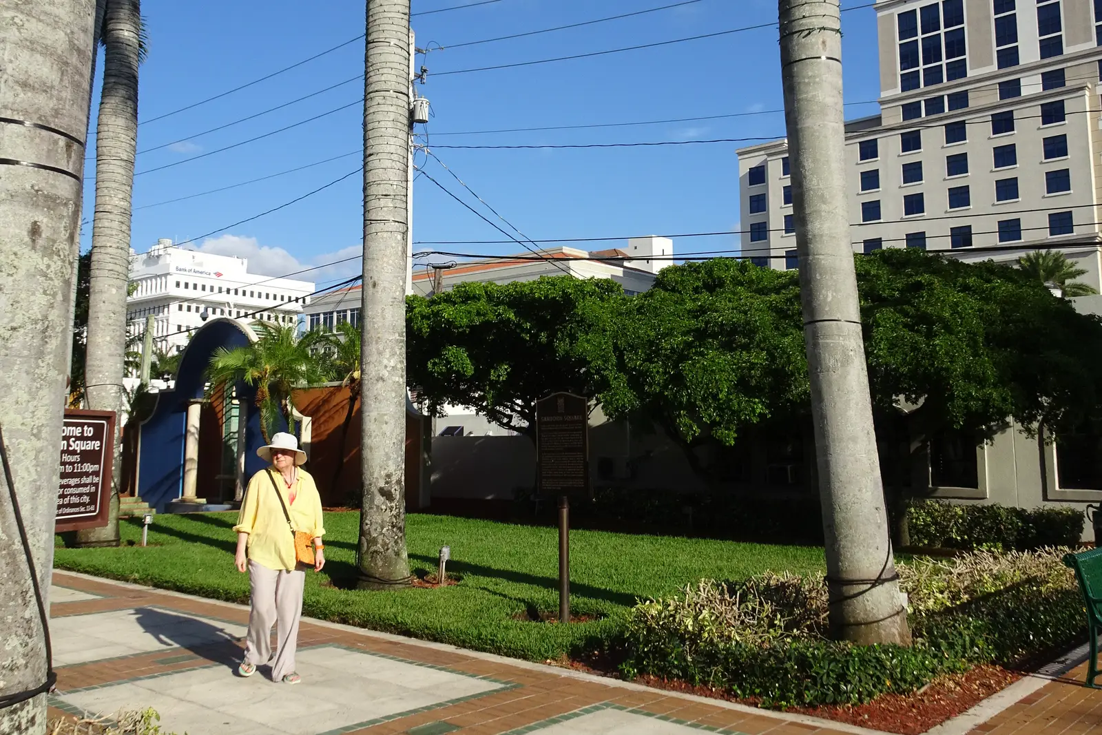 Royal palms and the lawn at Sanborn Square on North Federal Highway in downtown Boca Raton.