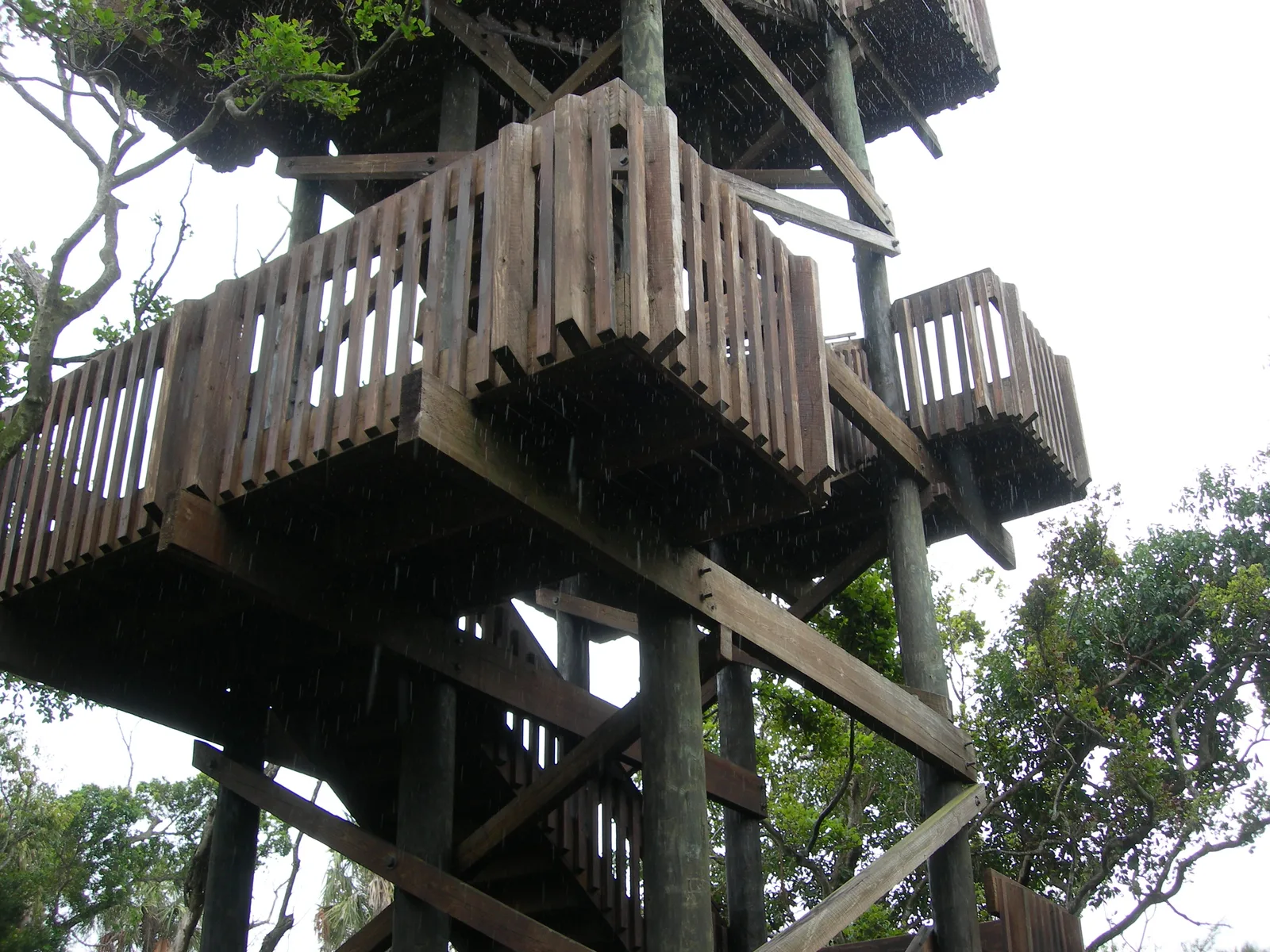 The observation tower at Gumbo Limbo Nature Center in Boca Raton, where the city's Night Explorers hike climbs after dark.