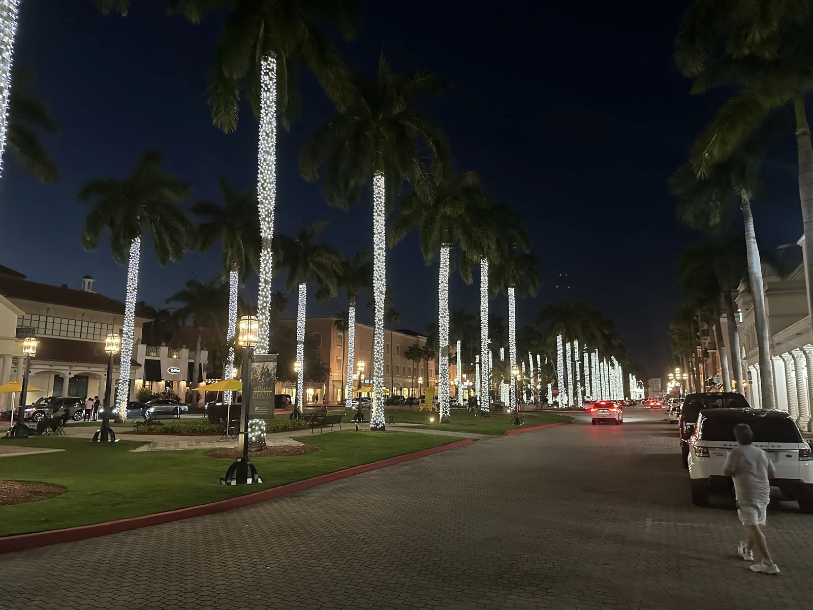 Palm trees wrapped in white lights along Plaza Real in Mizner Park, Boca Raton.