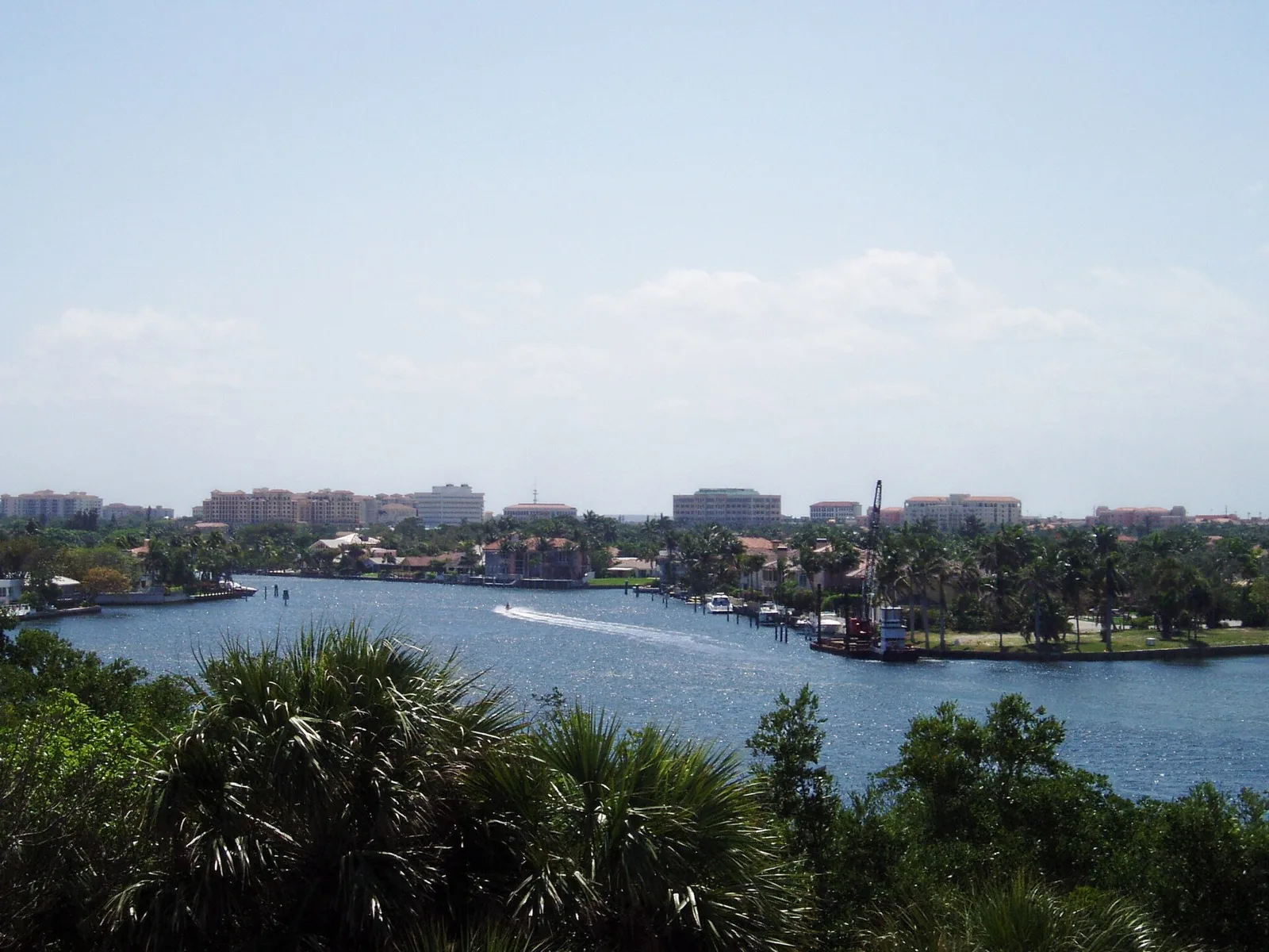 The downtown Boca Raton skyline seen from the observation tower at Gumbo Limbo Nature Center.
