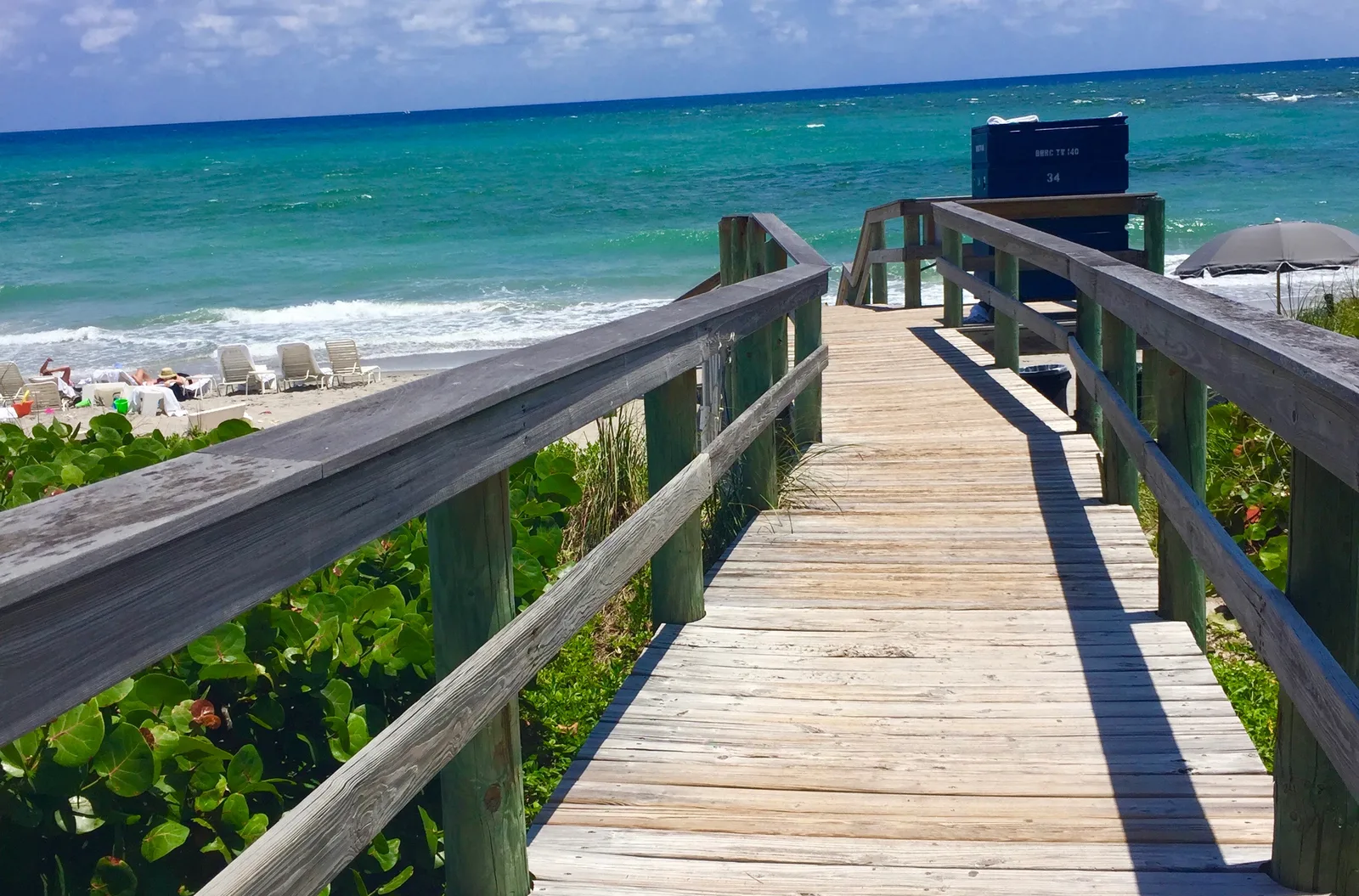 A beach access path through the dunes in Boca Raton.