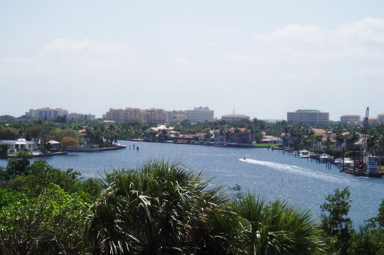 Downtown Boca Raton seen from the observation tower at Gumbo Limbo Nature Center.