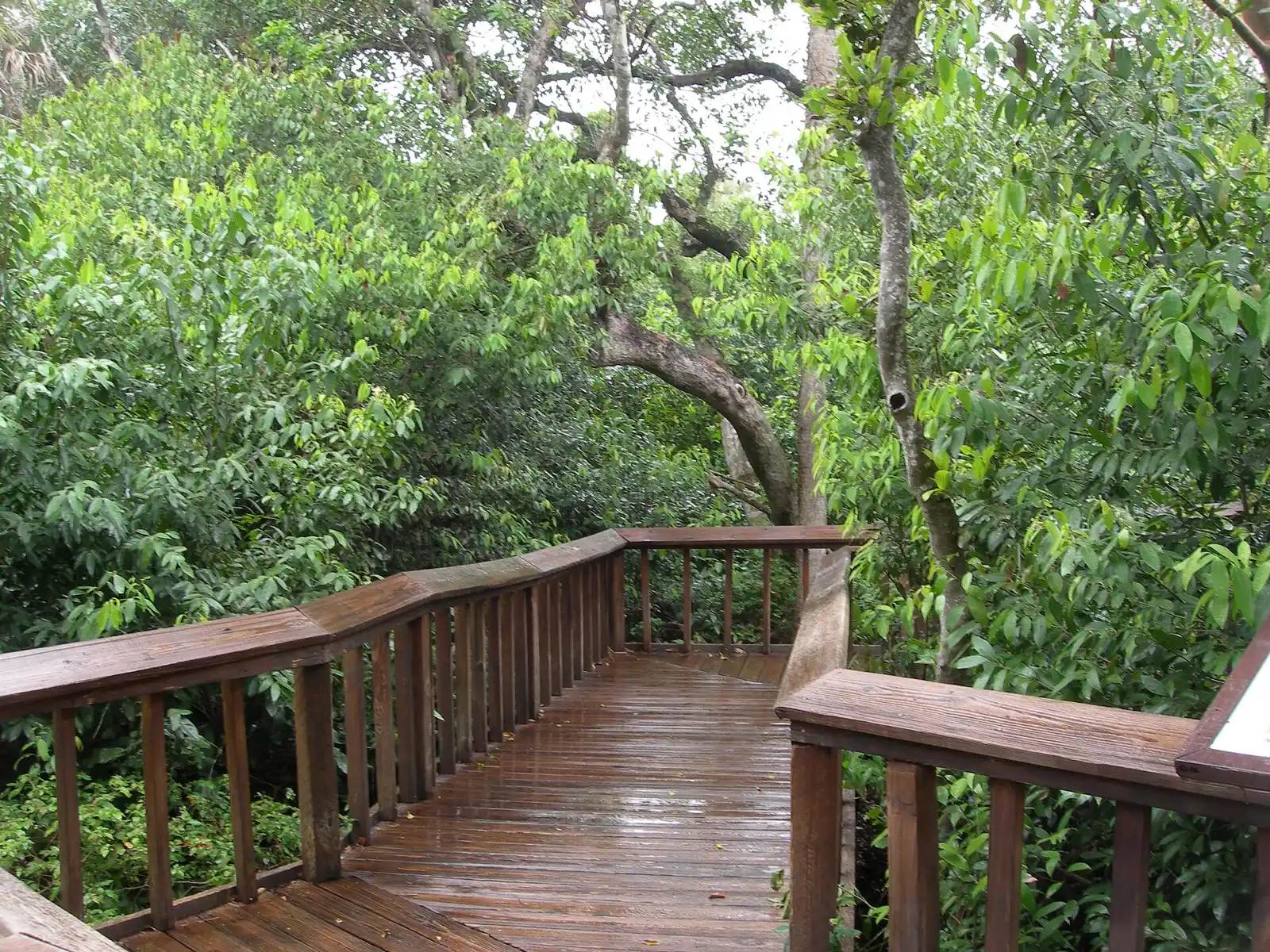 The boardwalk trail at Gumbo Limbo Nature Center in Boca Raton, which hosts Halloween by the Sea.